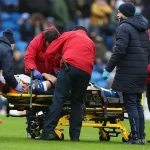 Kinh Hoàng: Cầu Thủ Cardiff Bất Tỉnh Sau Cú Va Chạm Không Trung, Trận Đấu Bị Hoãn 12 Phút 1