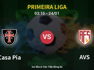 Kết Quả: Casa Pia 3-3 AVS – Highlight & Bàn Thắng | Primeira Liga