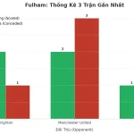 Thống kê Tài Xỉu Fulham 2025