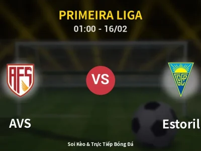 Kết Quả: AVS 3-0 Estoril – Highlight & Bàn Thắng | Primeira Liga