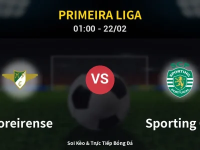 Kết Quả: Moreirense 0-3 Sporting CP – Highlight & Bàn Thắng | Primeira Liga