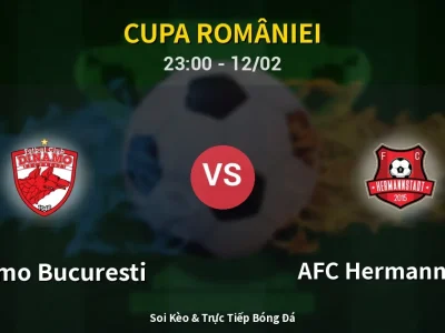 Soi Kèo Dinamo Bucuresti vs AFC Hermannstadt – 23:00 12/02 | Nhận Định, Dự Đoán Tỷ Số