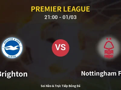 🔴 Trực Tiếp: Brighton 2-1 Nottingham Forest – Link Xem Premier League (Full HD)