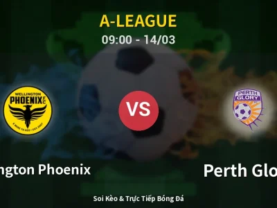 🔴 Trực Tiếp: Wellington Phoenix 0-0 Perth Glory – Link Xem A-League (Full HD)