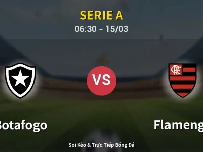 Soi Kèo Botafogo vs Flamengo – 06:30 15/03 | Nhận Định, Dự Đoán Tỷ Số