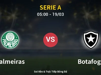 Kết Quả: Palmeiras 2-1 Botafogo – Highlight & Bàn Thắng | Serie A