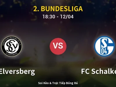 🔴 Trực Tiếp: SV Elversberg 1-1 FC Schalke 04 – Link Xem 2. Bundesliga (Full HD)