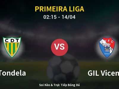 Kết Quả: Tondela 2-2 GIL Vicente – Highlight & Bàn Thắng | Primeira Liga