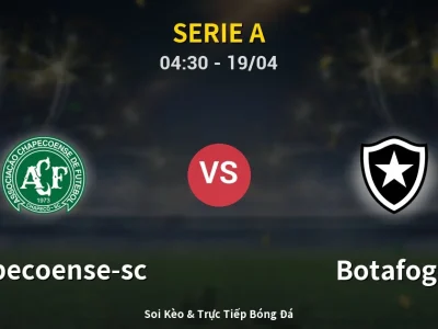 Kết Quả: Chapecoense-sc 1-4 Botafogo – Highlight & Bàn Thắng | Serie A