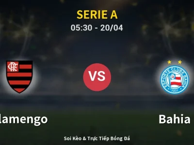 Kết Quả: Flamengo 2-0 Bahia – Highlight & Bàn Thắng | Serie A