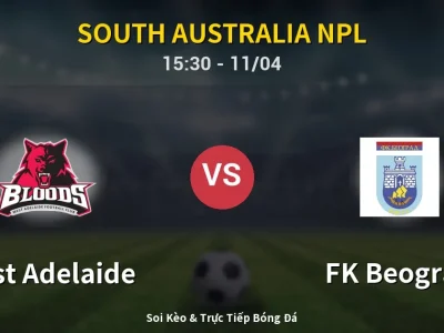 Soi Kèo West Adelaide vs FK Beograd – 15:30 11/04 | Nhận Định, Dự Đoán Tỷ Số