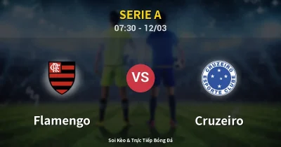 Flamengo vs Cruzeiro 12/03