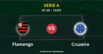 Flamengo vs Cruzeiro 12/03